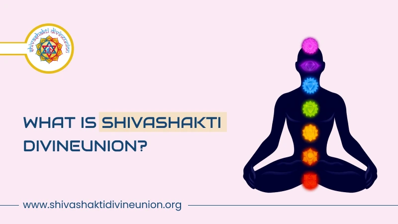 ShivaShakti DivineUnion